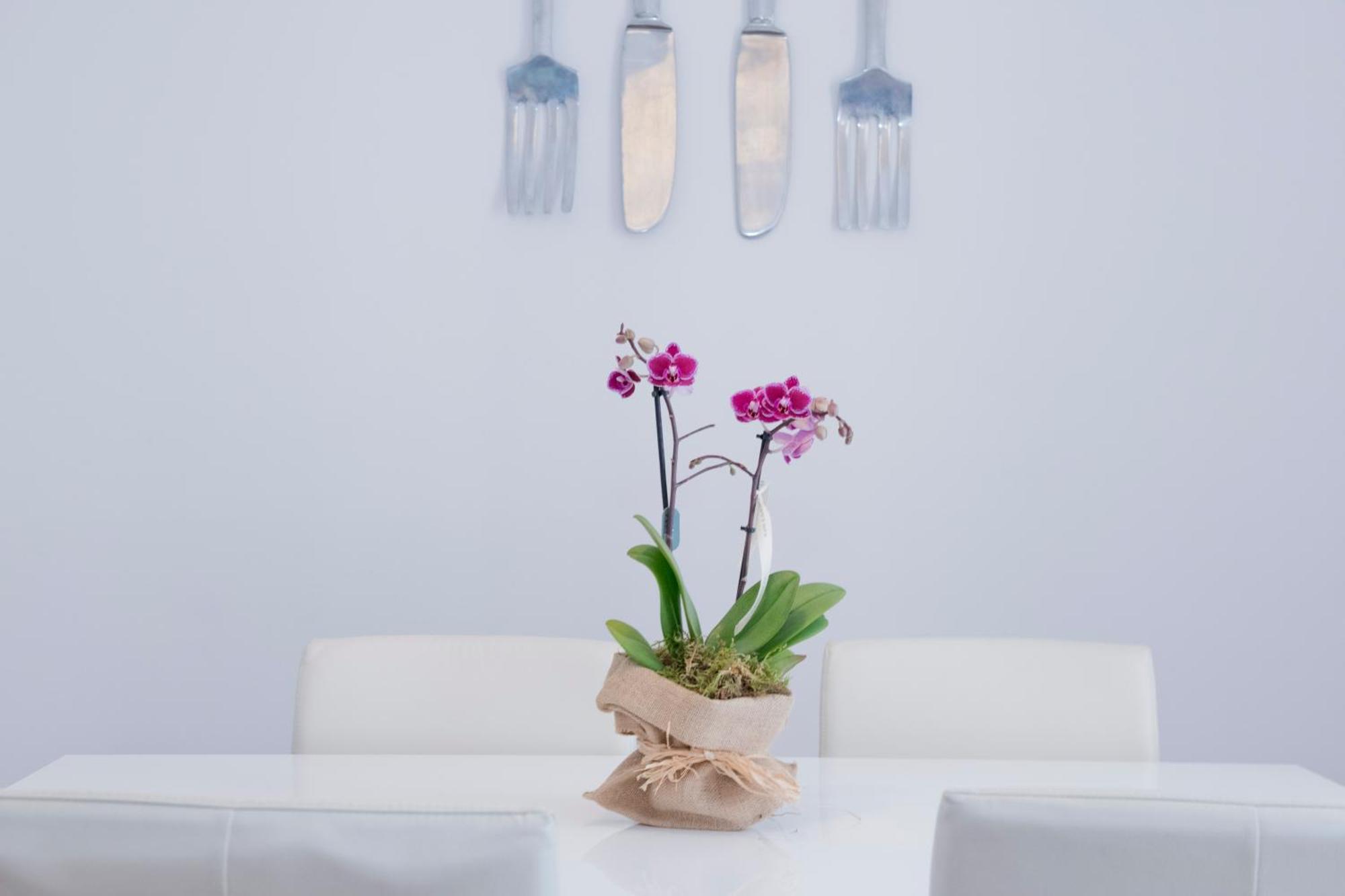 Apartamento Gaudi-Sant Pau Barcelona Exteriér fotografie
