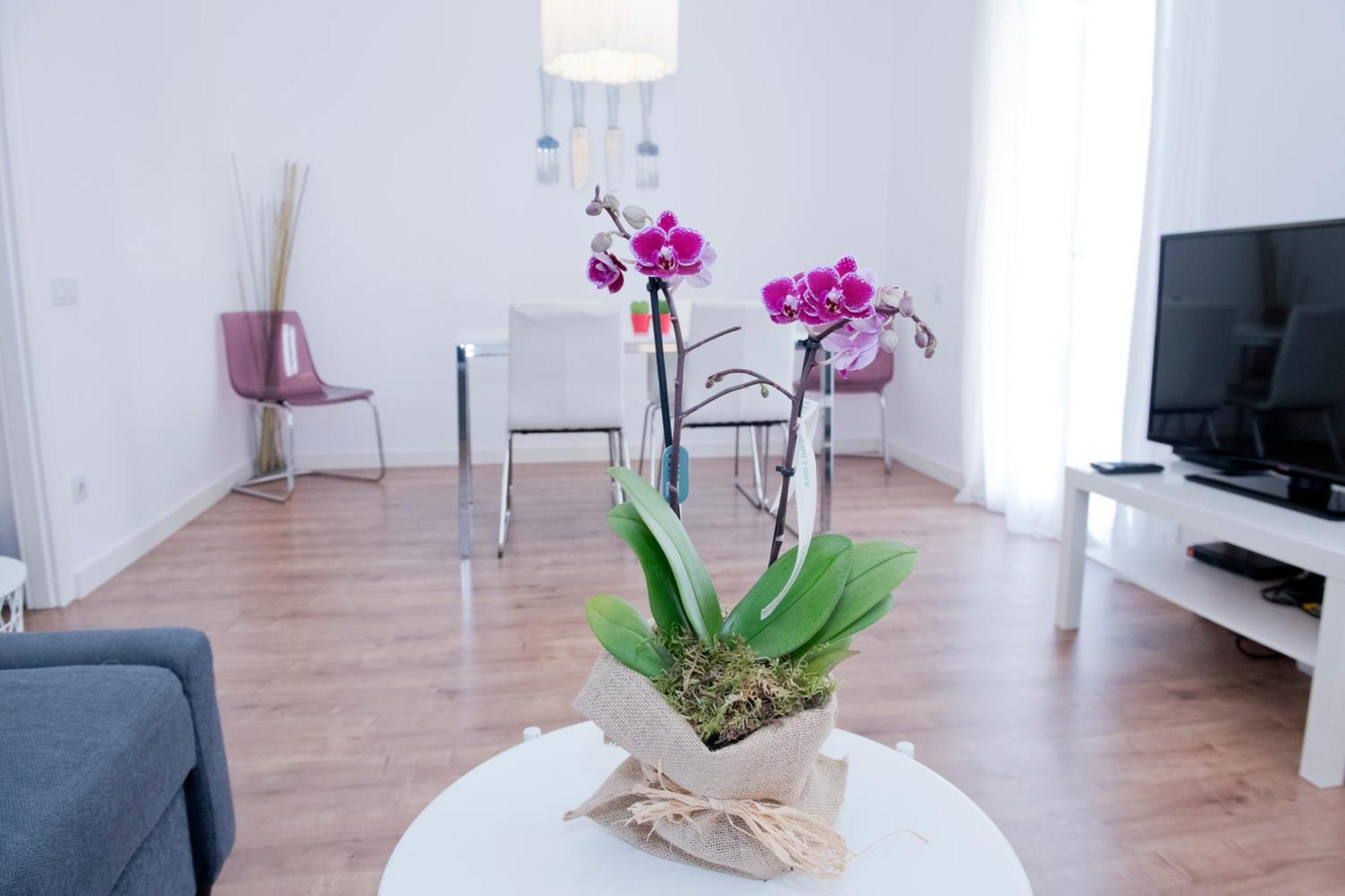 Apartamento Gaudi-Sant Pau Barcelona Exteriér fotografie